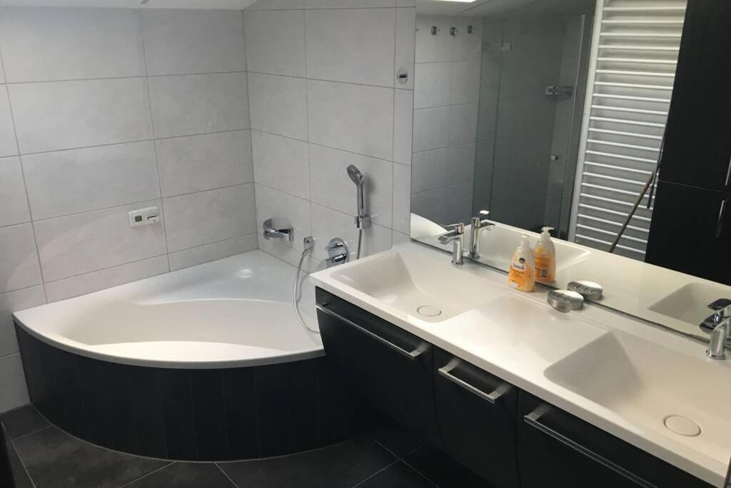 Ferienwohnung Appartement Am Schilf Xl Zell am See Eksteriør billede