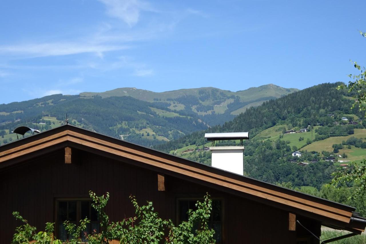 Ferienwohnung Appartement Am Schilf Xl Zell am See Eksteriør billede